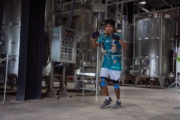 J4233706