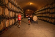 A4230967