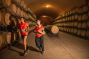 K4232036