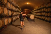 Y4230891