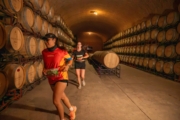 Z4232086