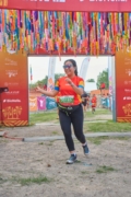 T4227378
