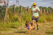 C4235947