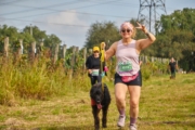 F4236278