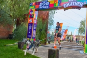 Q4235415