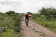 T4235022