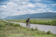 U4271802