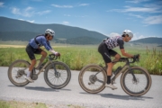 Z4271951