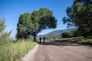 F4267988
