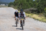 H4268617