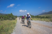 Z4269061