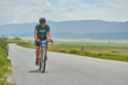 N4271898