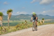 Q4271484