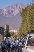 V4274038