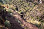 C4277866
