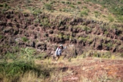 C4278242