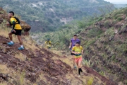 D4276758
