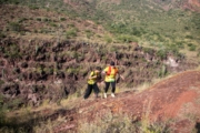 F4278195