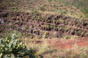 F4278230