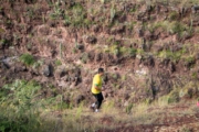 K4277663