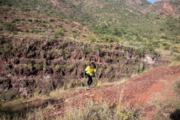 K4278189