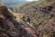 L4277848