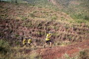 N4277762