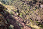 N4277861