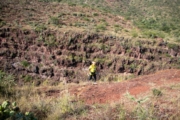 N4278233