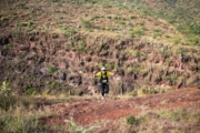S4277761