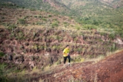 V4277665
