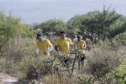 B4278618