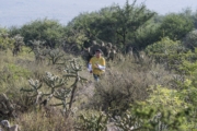 C4281132