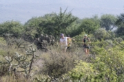 G4278622