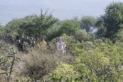L4278928