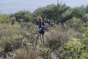 N4278397