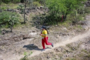 O4278623