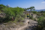 U4281716