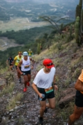 S4275033