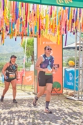 V4281744
